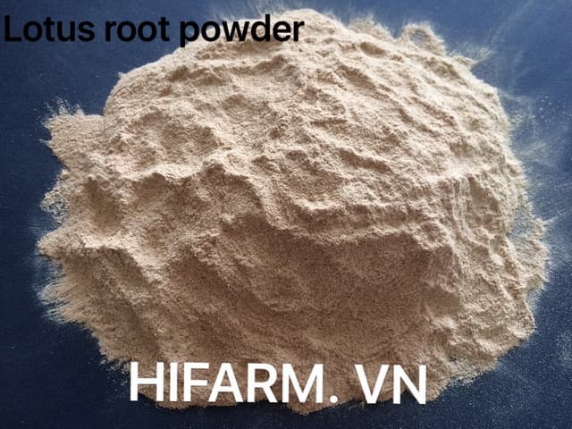 LOTUS ROOT POWDER _FOR FOOD_